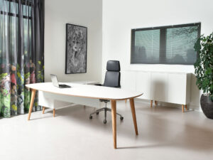 Castelijn kantoormeubelen Den Haag kast bureau Heering Office