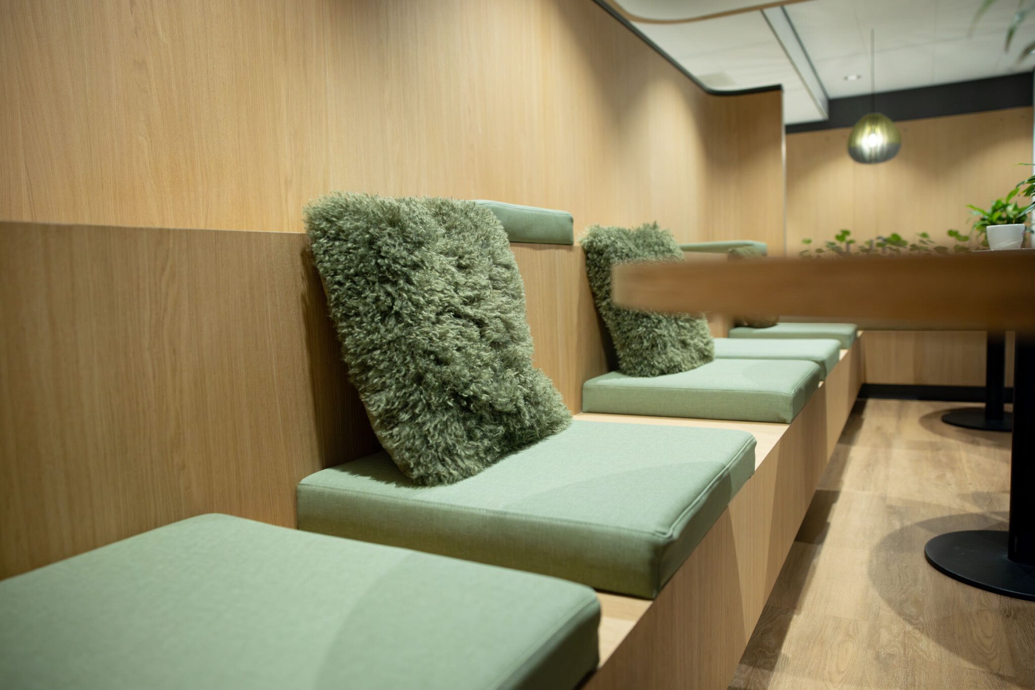 Omroep West bij Vingerling Kantoor Naaldwijk