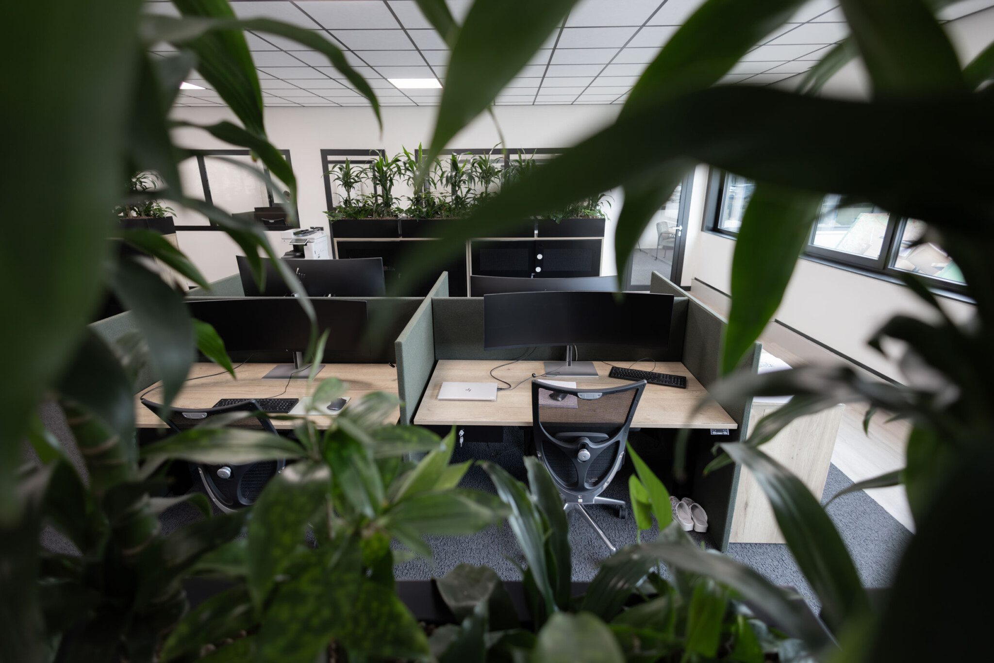 Project Axia bij Vingerling Kantoor te Naaldwijk